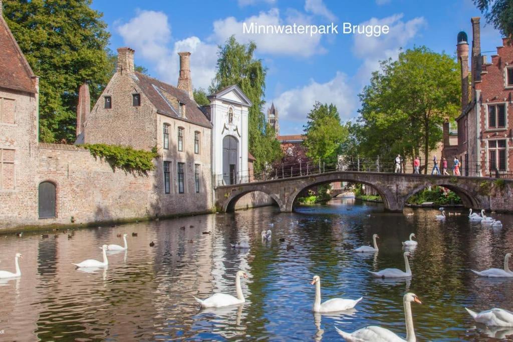 Cozb Apartment Bruges Exterior photo